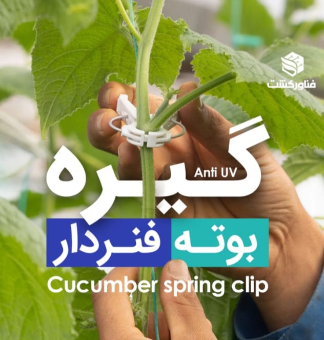 گیره بوته فنردار بسته ی 1500عددی  گلخانه ای